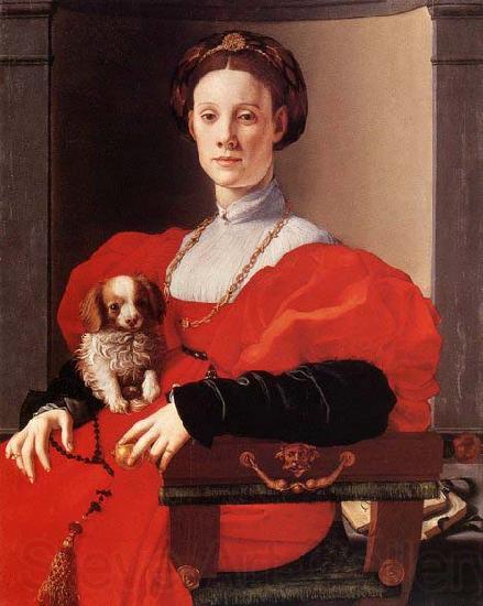 Pontormo, Jacopo Portrait of a Lady in Red France oil painting art